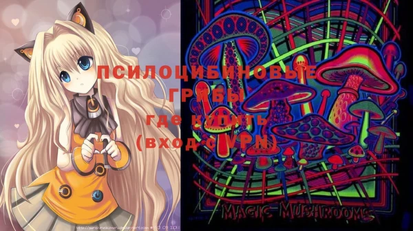 ECSTASY Алексин