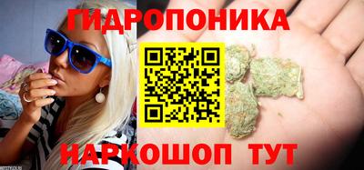 спайс Свободный