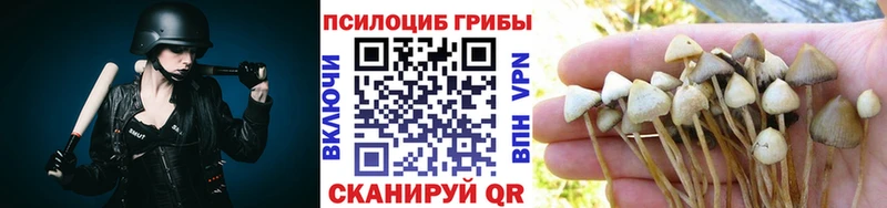 Галлюциногенные грибы Magic Shrooms  Невинномысск 