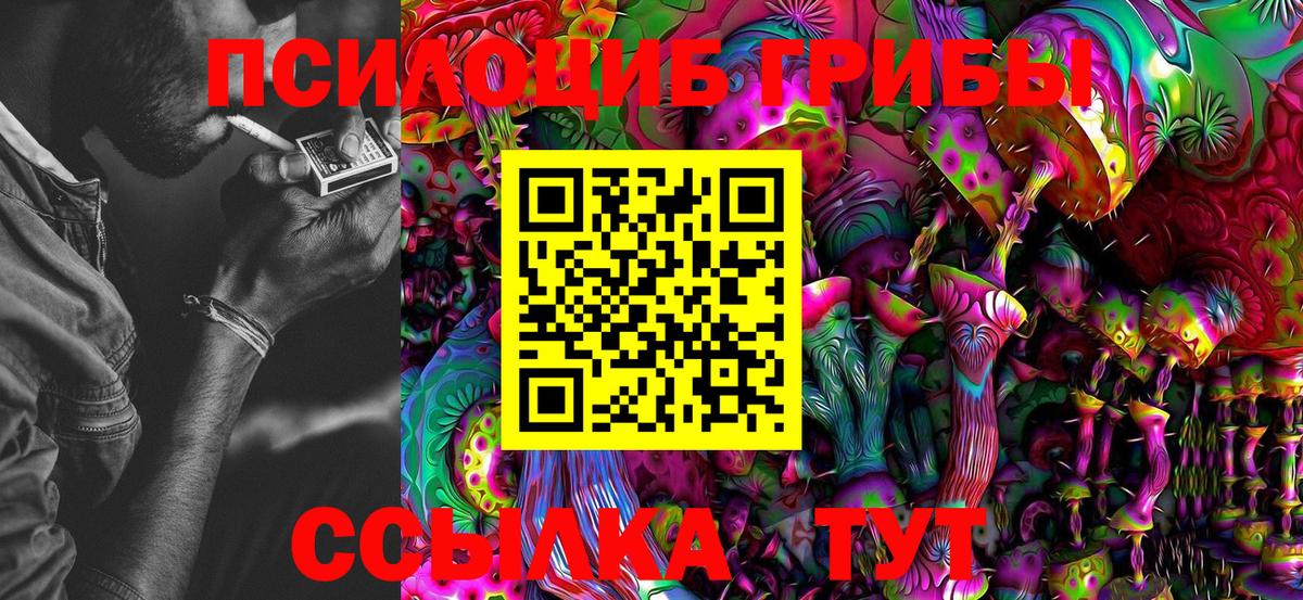 Галлюциногенные грибы Cubensis Невинномысск