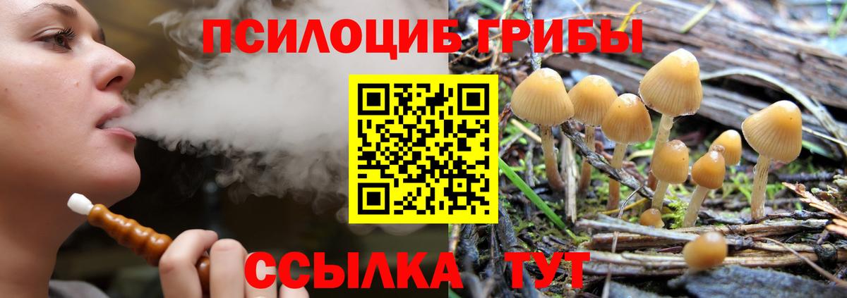 Псилоцибиновые грибы ЛСД  Галлюциногенные грибы прущие грибы  Вход с VPN  где найти   Невинномысск 