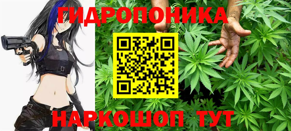 Бошки марихуана планчик  МАРИХУАНА план  Канабис сатива  Невинномысск  Вход с VPN 